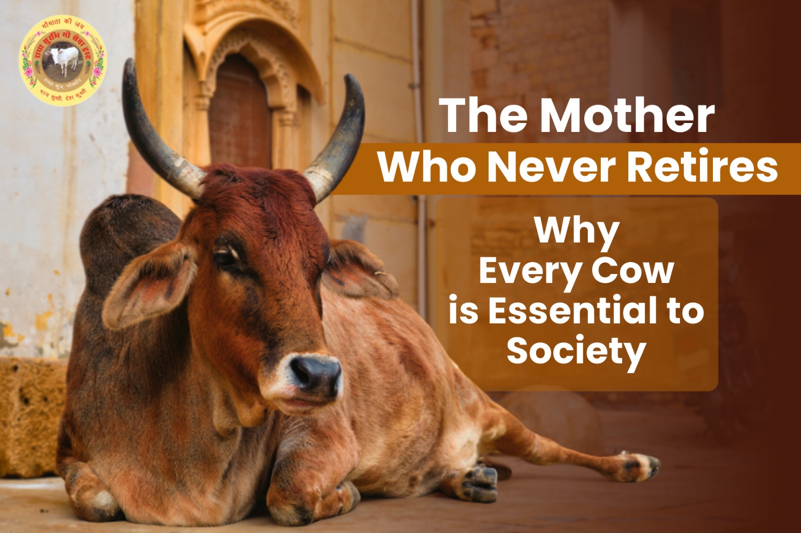 why-every-cow-is-essential-to-society