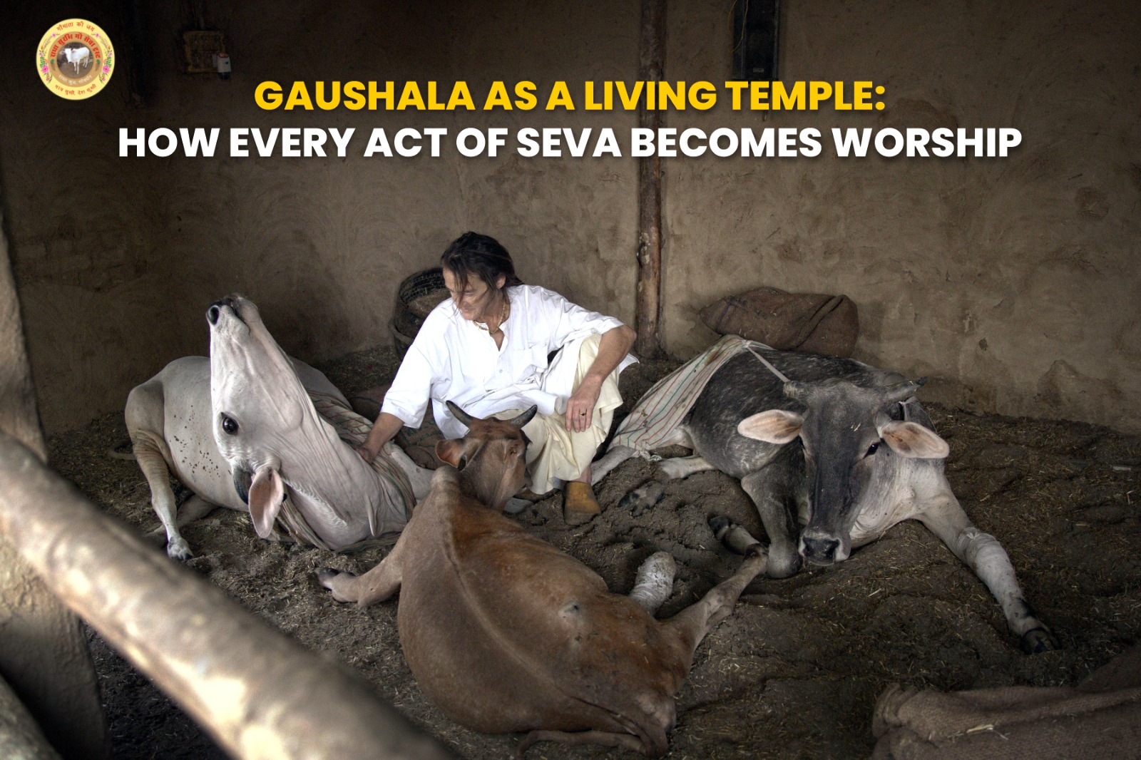 gaushala-as-a-living-temple