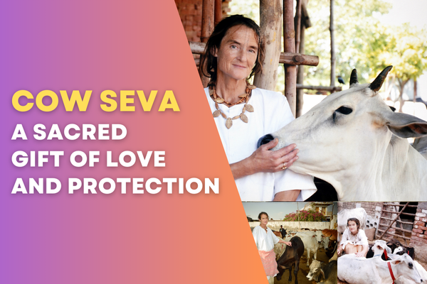 donate for cows in Vrindavan
